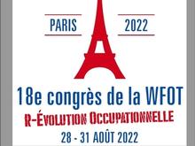 Pre-Congress Workshop at the 18th WFOT Congress